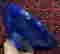 item-112396228=3