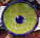 item-112396246=2