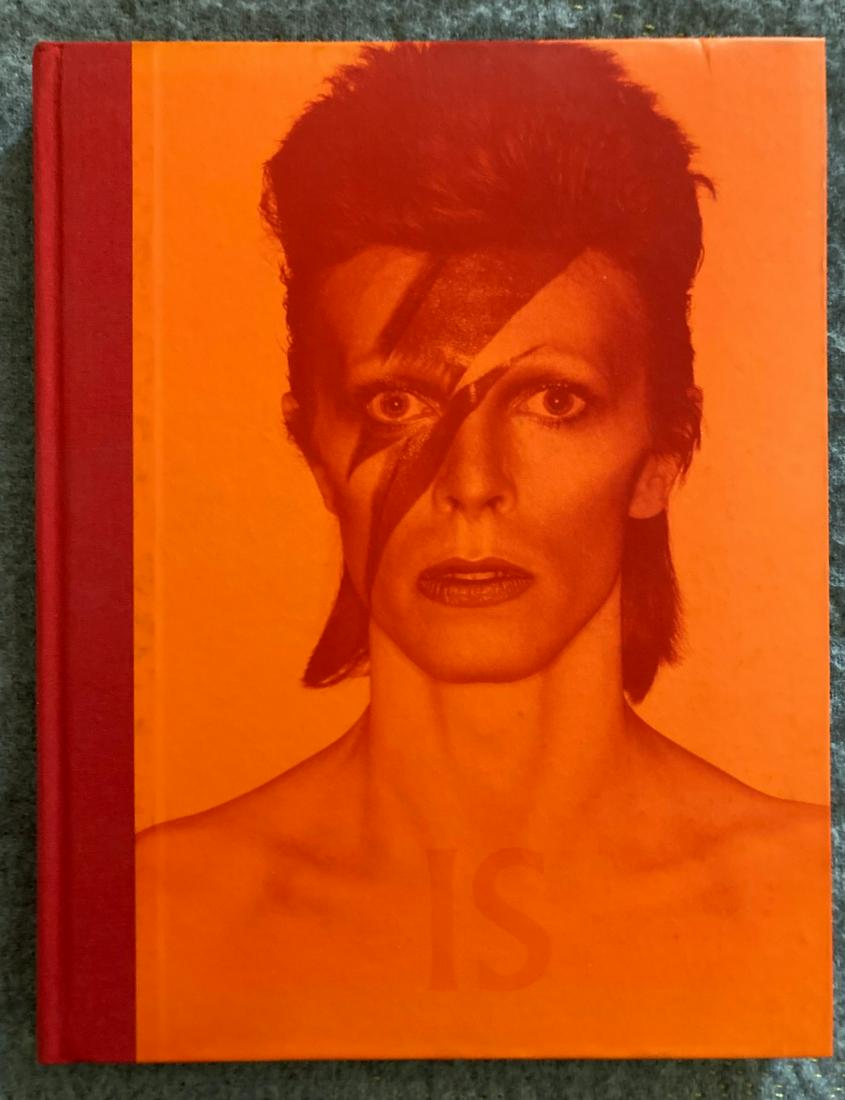 DAVID BOWIE IS (1 of 4)