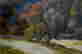 item-112854124=2