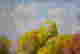 item-112854127=3