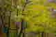 item-112854133=3