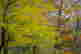 item-112854133=4