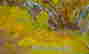 item-112854133=6