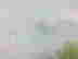 item-112854175=3