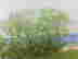item-112854175=5