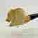 item-112860997=4