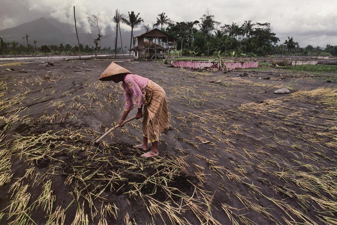 STEVE MCCURRY - Woman In Flooded Field, Java, 1983: Artist: Steve McCurry Title: Woman In Flooded Field, Java, Indonesia, 1983 Medium: Photo Litho, 2012, Italy Dimensions: 13.95x9.35" Description: Heat Wax Mounted on 14x18" Conservation Board Artist Bi