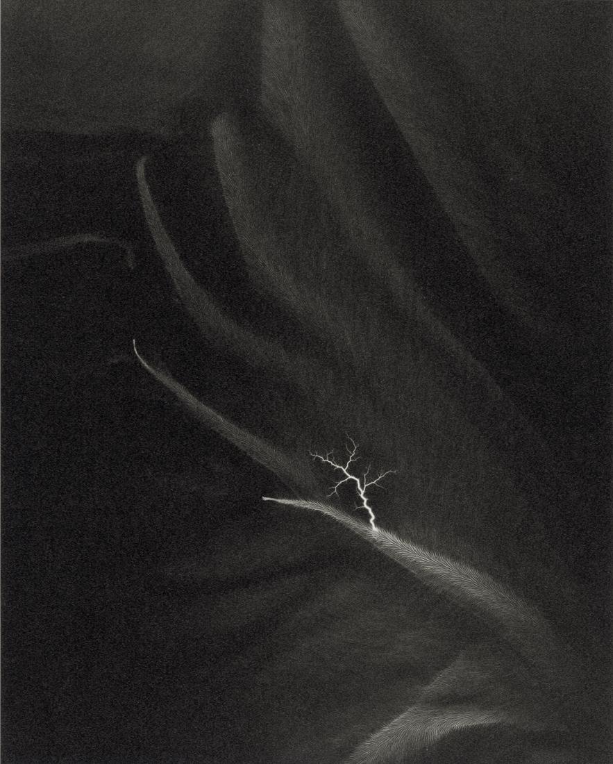 HIROSHI SUGIMOTO - Lightning Fields #182, 2009: Artist: Hiroshi Sugimoto Title: Lightning Fields #182, 2009 Medium: Photo Litho, 2016, Spain Dimensions: 7.4x9.25" Description: Heat Wax Mounted on 11x14" Conservation Board Artist Bio: Hiroshi Sugimo