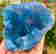 item-112904192=2