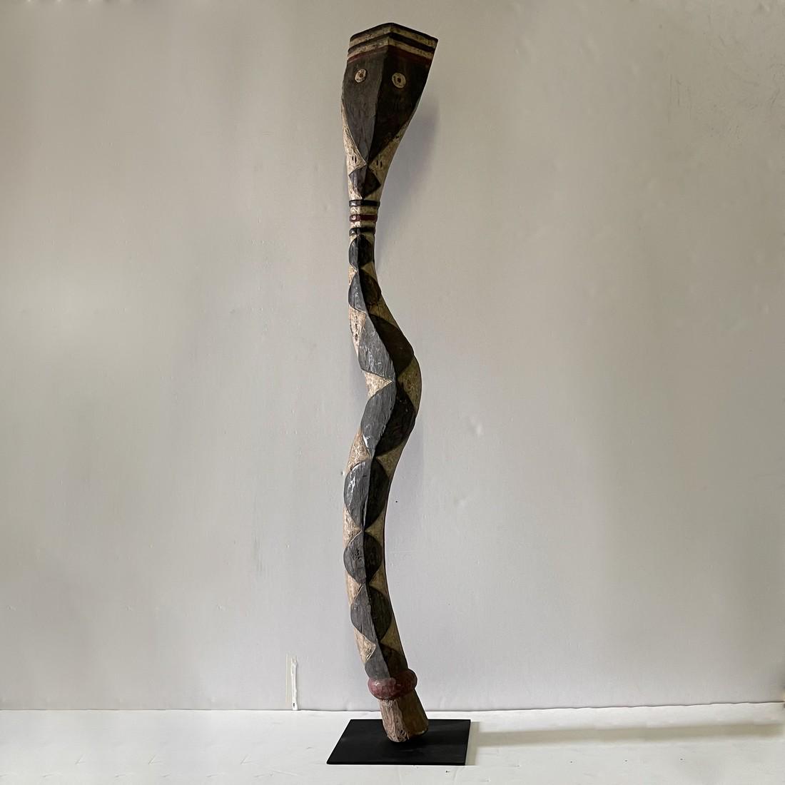 Baga Snake (1 of 11)