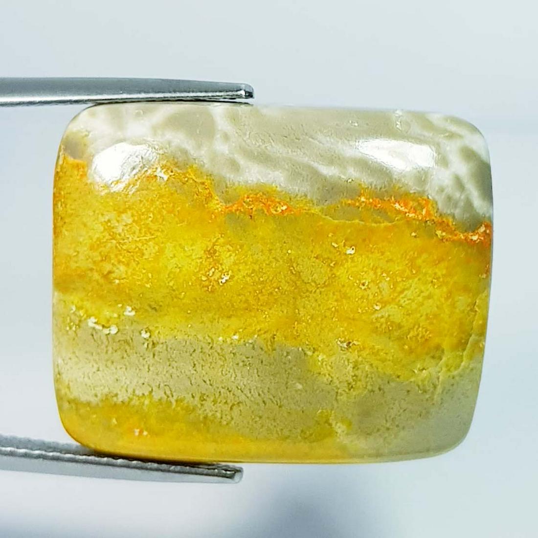 33.00 ct Natural Bumble Bee Jasper (1 of 5)