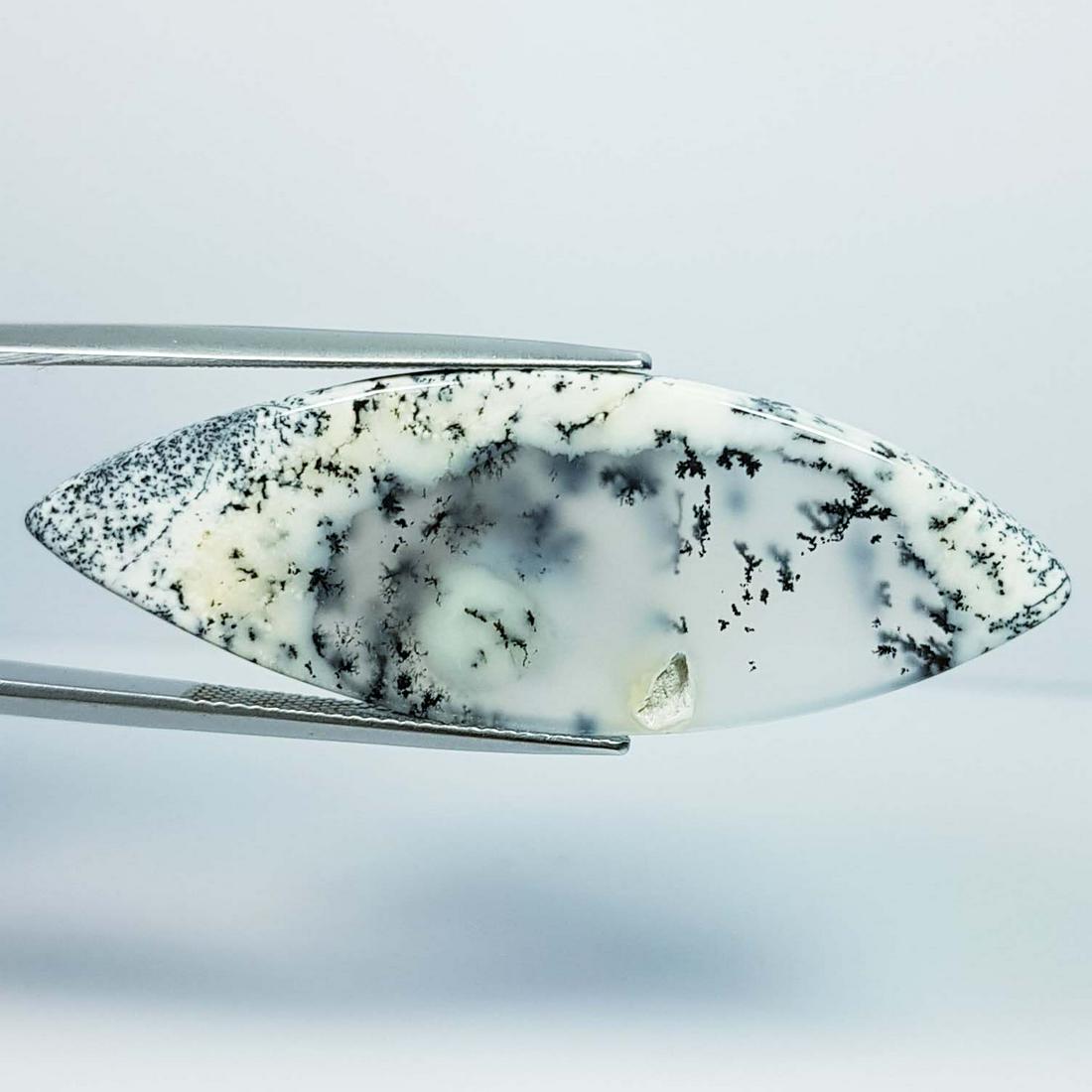 30.40 Ct Natural Dendrite Opal (1 of 4)