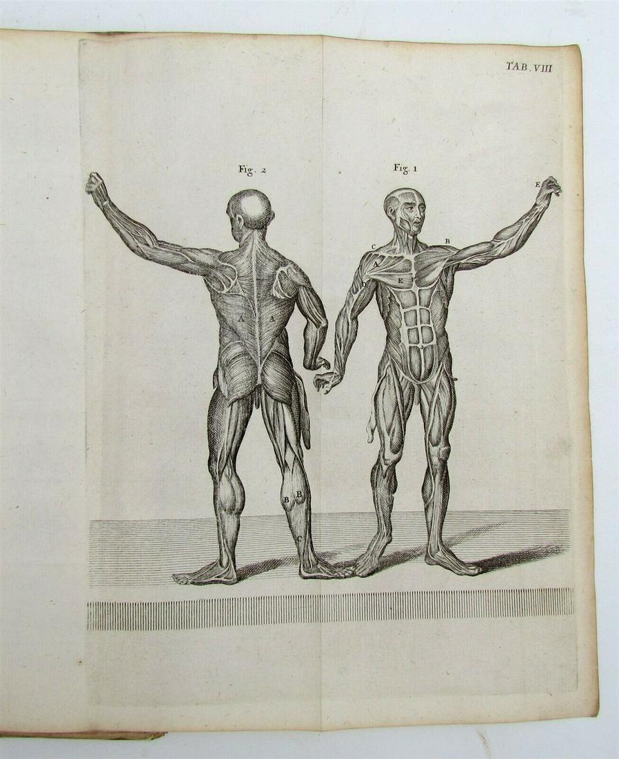 1730 B. Nieuwentijt ANTIQUE 28 ANATOMICAL PLATES VELLUM (1 of 12)