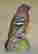 item-113413079=2