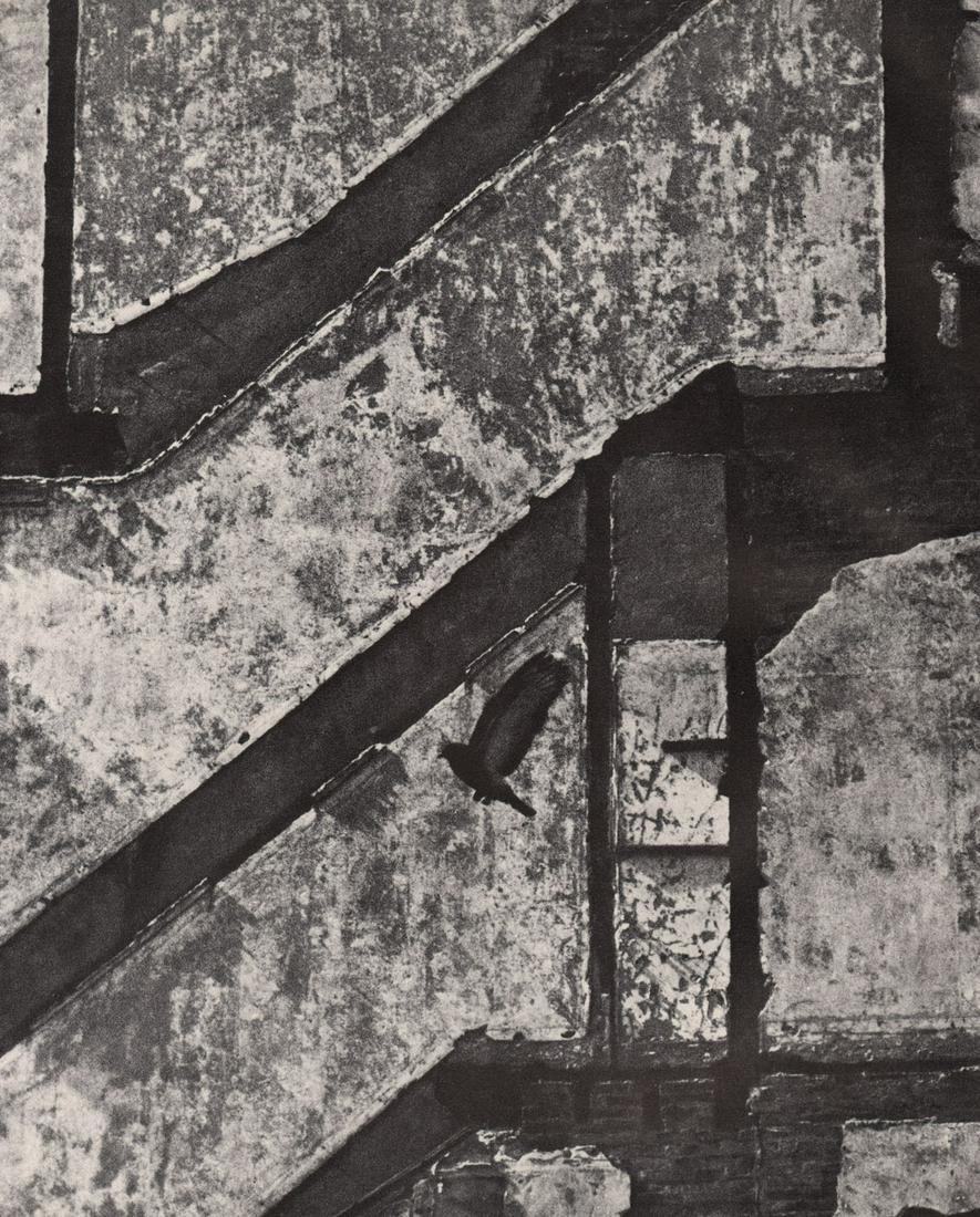 KERTESZ - Landing Pigeon on March 2, 1960, NY: Artist: KERTESZ Print Title: Landing Pigeon on March 2, 1960, NY Medium: Photoengraving Printed 1970’s in the USA Image size (inches) approx. 8.5 x 6.5” Andre Kertesz (1894-1985) born Ke