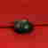 item-113462524=3