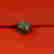item-113462533=3