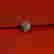 item-113462535=3