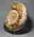 item-113839488=3
