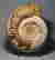 item-113839488=4