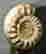item-113839493=2