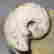 item-113839494=4