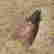 item-113839502=4