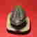 item-113839513=3