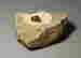 item-113839515=2