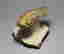 item-113839520=2