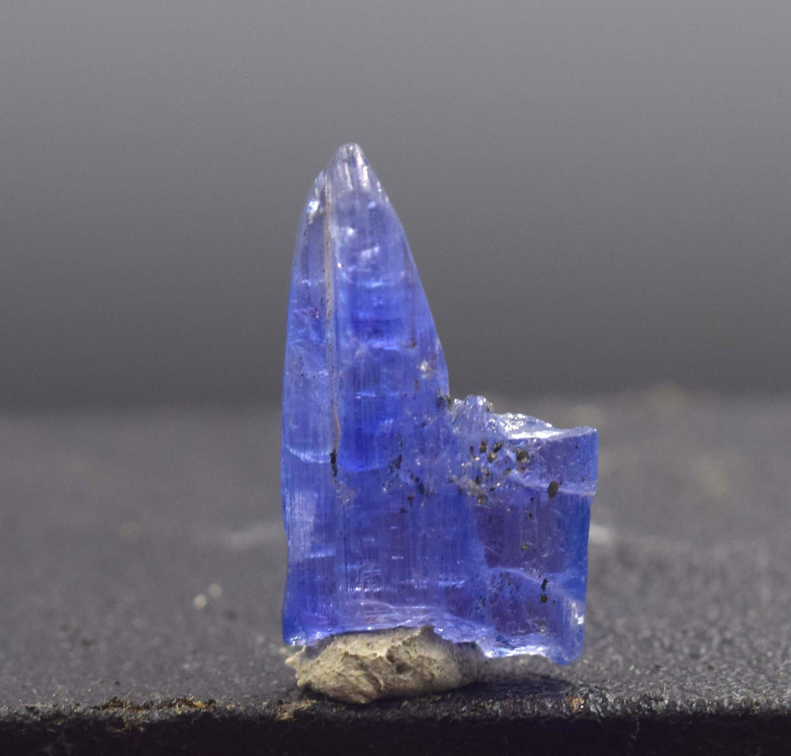 Tanzanite Crystal , Terminated Tanzanite Crystal -5.75 (1 of 5)