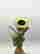 item-113947946=2