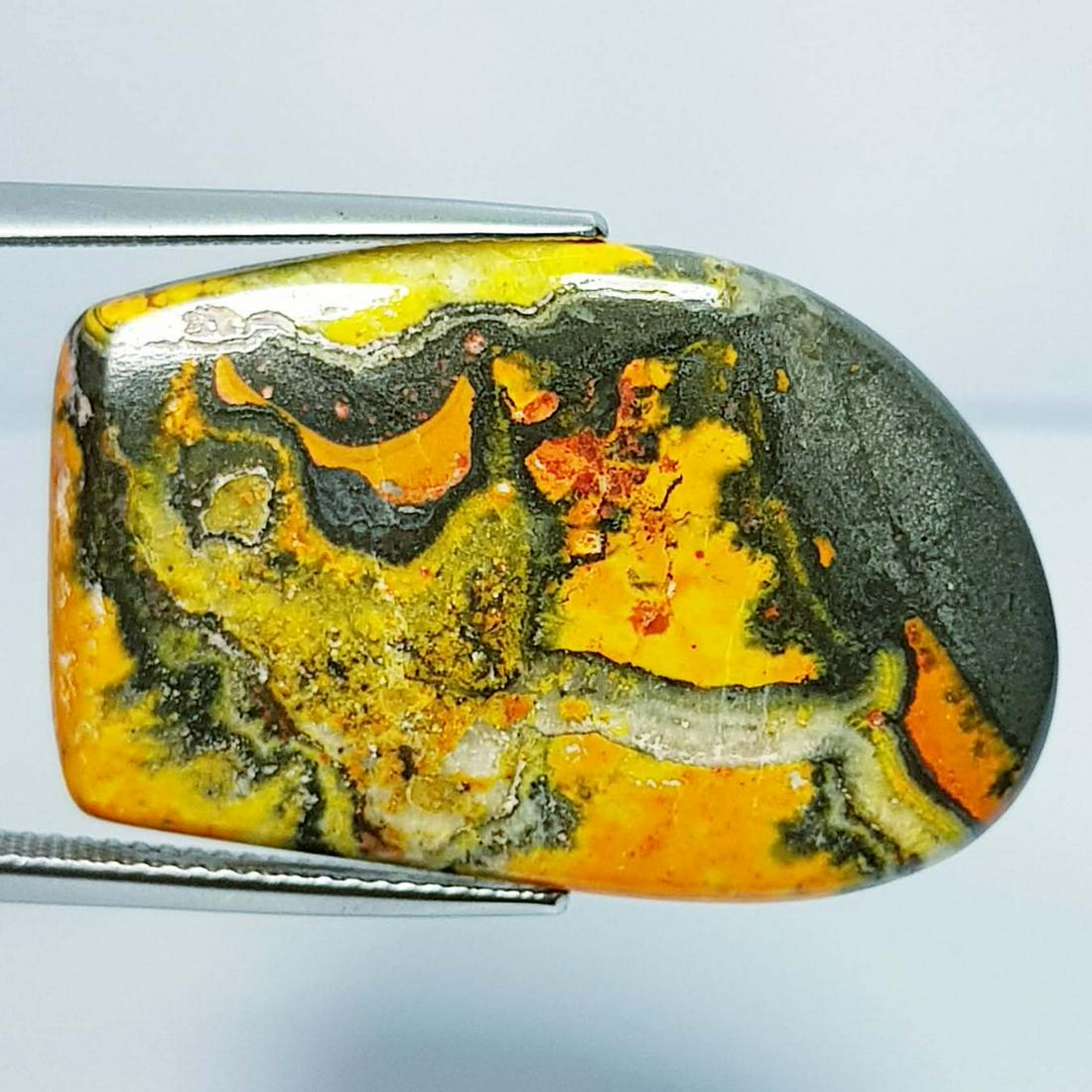 23.73 ct Natural Bumble Bee Jasper: No Reserve! Title: 23.73 ct Natural Bumble Bee Jasper Stone Color/Clarity: Opaque Carat Weight: 23.73 Dimensions: 31.50 x 20.30 x 4.30 Additional Information: Fancy - Brazil Shipping: Domestic: Flat-