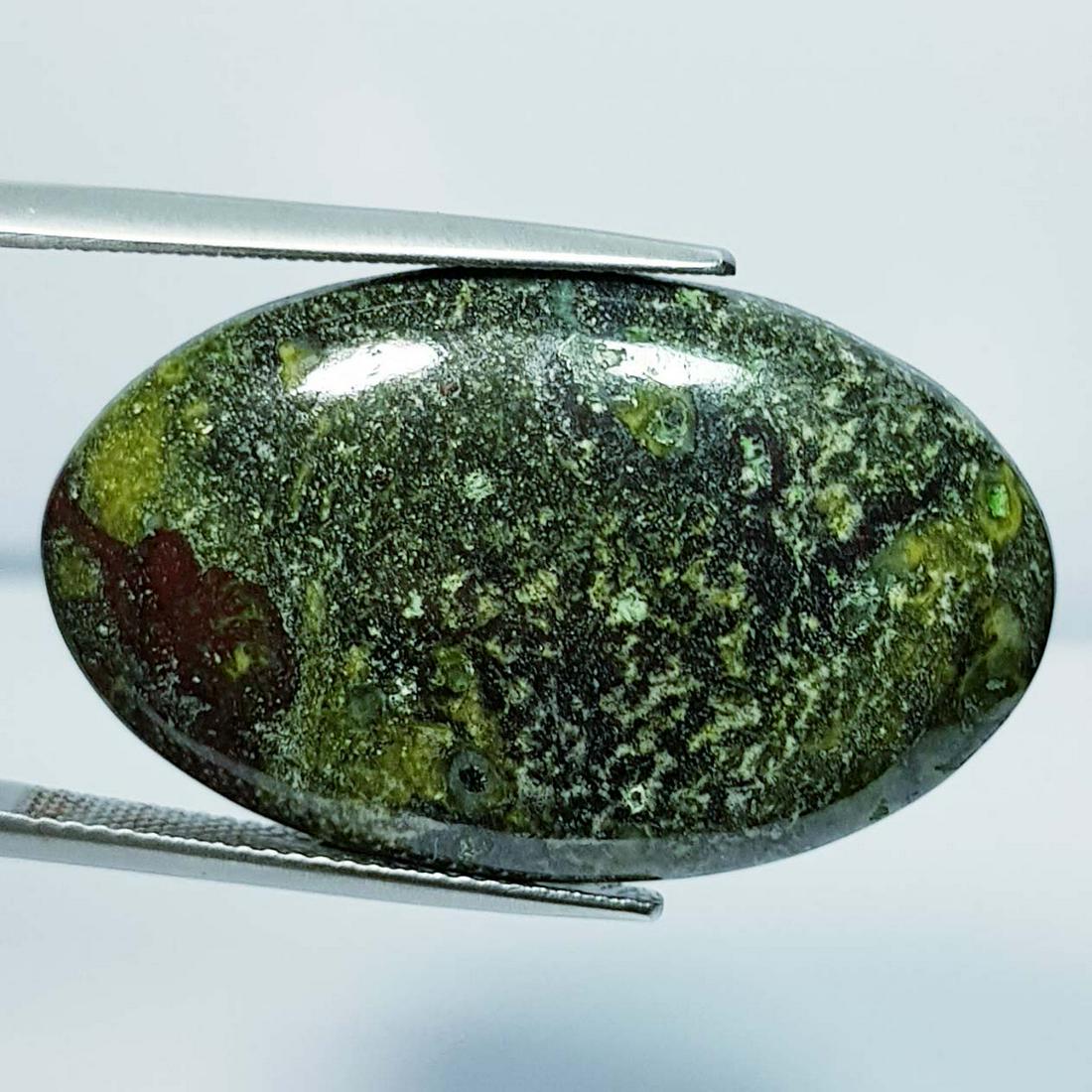 33.10 Ct Natural Dragon Jasper (1 of 4)