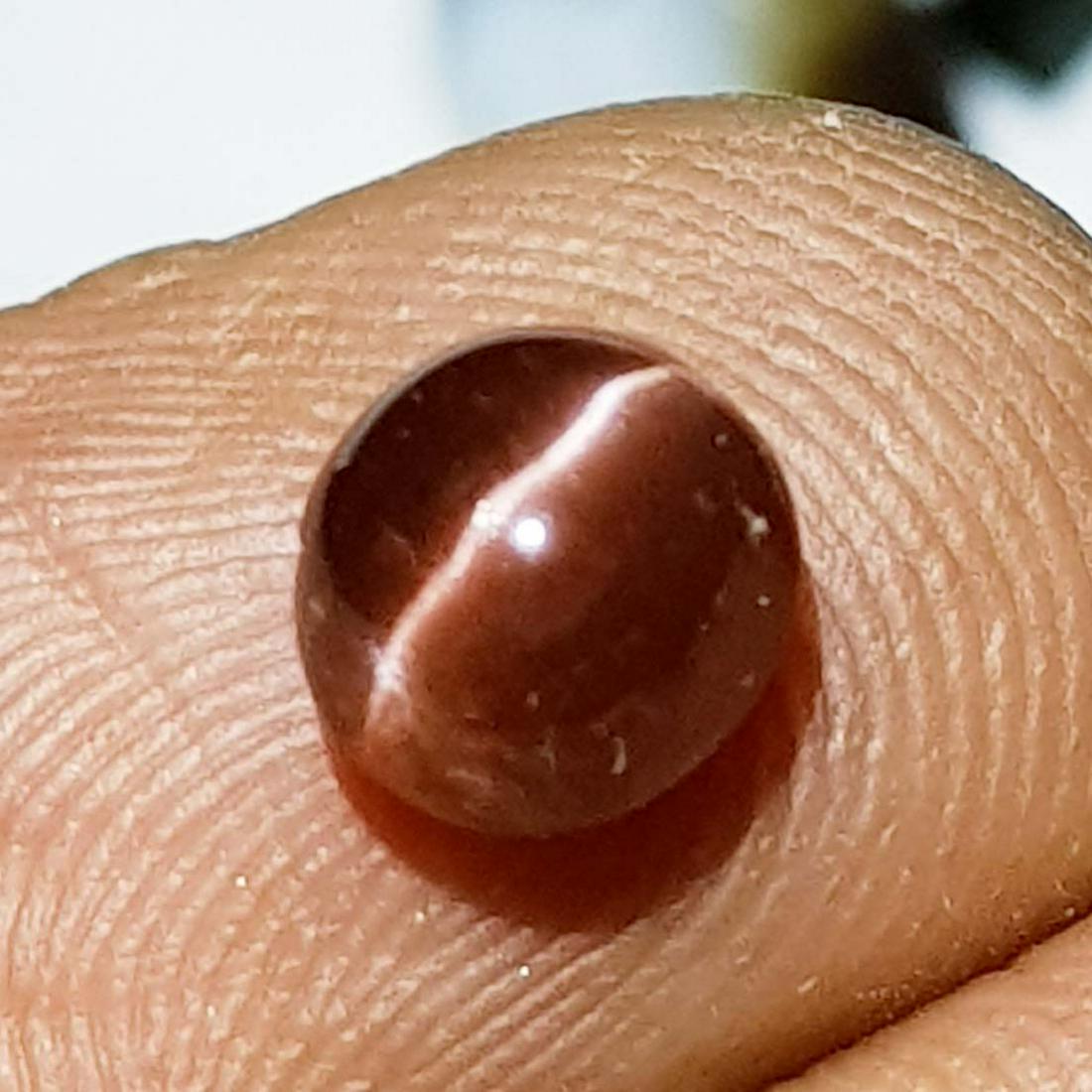 1.85 ct Natural Scapolite Cat's Eye: No Reserve! Title: 1.85 ct Natural Scapolite Cat's Eye Stone Color/Clarity: Opaque Carat Weight: 1.85 Dimensions: 6.70 x 6.50 x 5.40 Additional Information: Round - Africa Shipping: Domestic: Flat-r