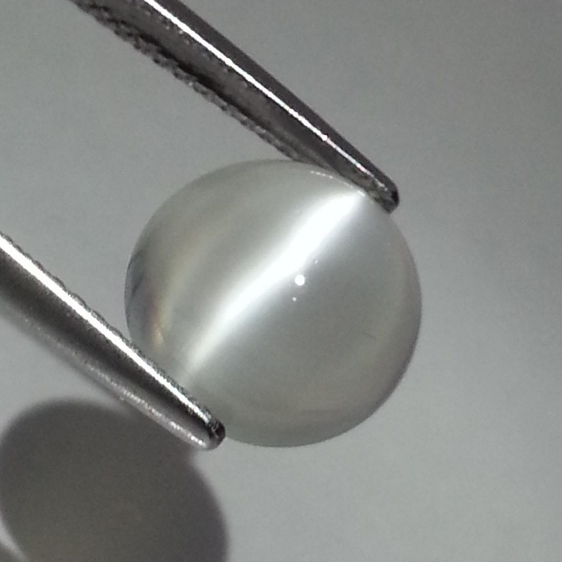 Natural Moonstone Cat's Eye - 4.30: No Reserve! Title: Natural Moonstone Cat's Eye - 4.30 Stone Color/Clarity: IF - VVS Carat Weight: 4.3 Dimensions: 10.50 x 10.50 x 5.50 Additional Information: Round - Srilanka Shipping: Domestic: Fla