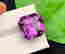 item-114121746=3