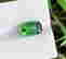 item-114123757=3