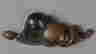 item-114131019=2