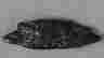 item-114131024=3