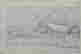 item-114308786=2