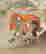 item-114308846=2