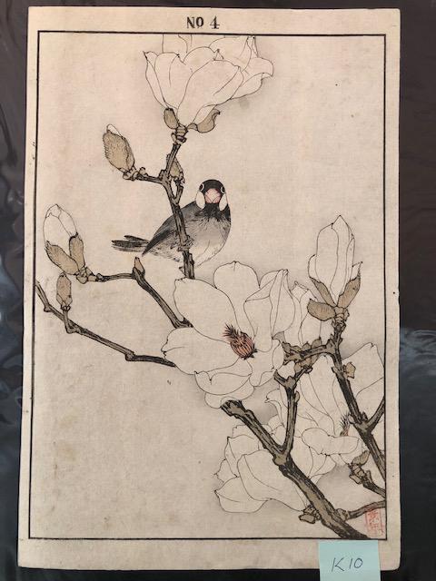 Imao Keinen: Bird on magnolia flower (1 of 1)