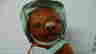 item-114380739=2