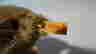 item-114380740=3