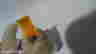 item-114380742=3