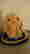 item-114380745=2