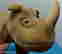 item-114380753=2