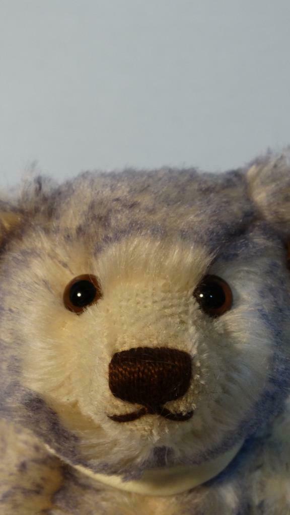 2005 STEIFF TEDDY 25CM 10 INCHES MOHAIR EXPO WISTERIA: 2005 STEIFF TEDDY 25CM 10 INCHES MOHAIR EXPO WISTERIA BEAR 652301 2005 STEIFF TEDDY 25CM 10 INCHES MOHAIR EXPO WISTERIA BEAR 652301 Description STEIFF 2005 WISTERIA CREAM BACKED MOHAIR TIPPED WITH BLU